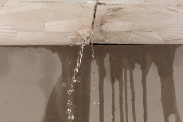 Professional Structural Drying technician working in Ben Wheeler, TX
